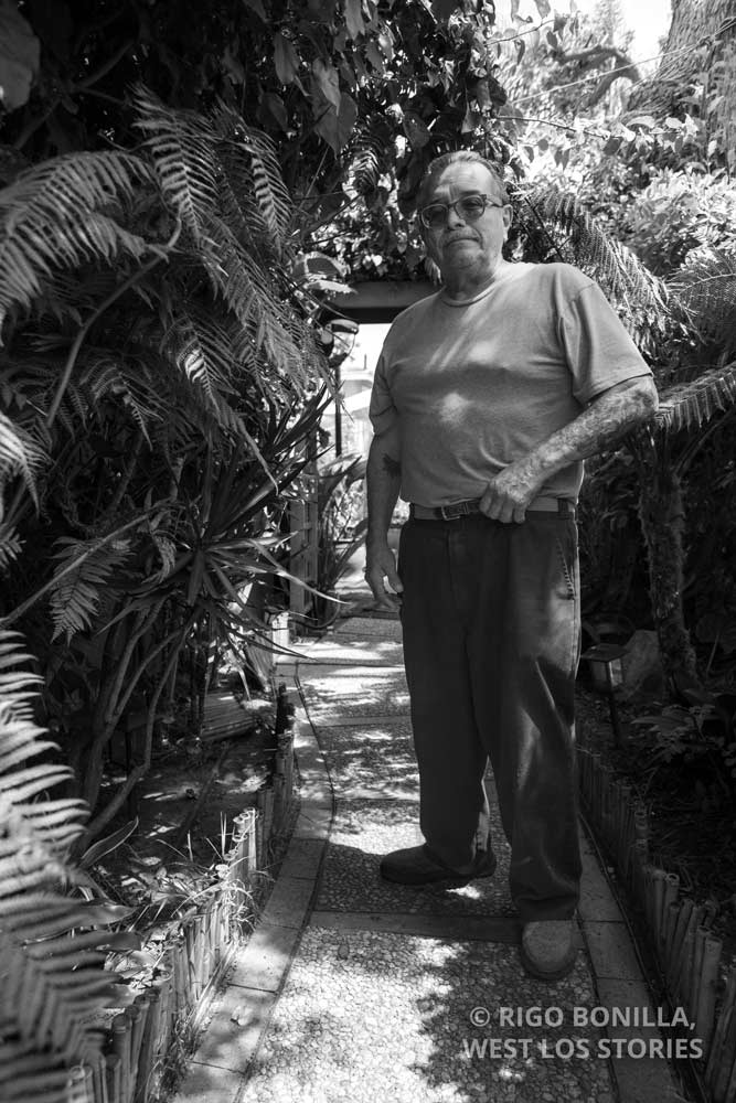 Chang Elder Chicano man standing in his backyardr in Venice, CA